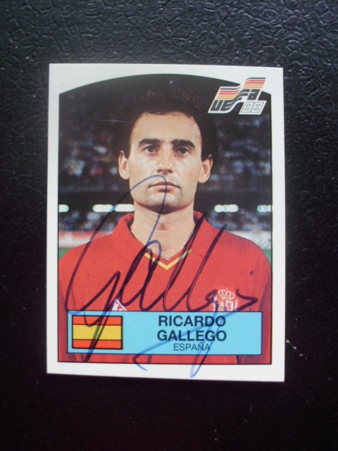 GALLEGO Ricardo - Spanien # 143
