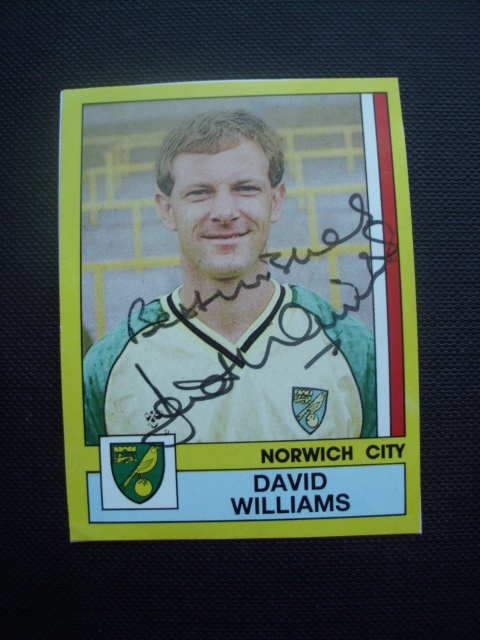 WILLIAMS David / Norwich City 87 # 208