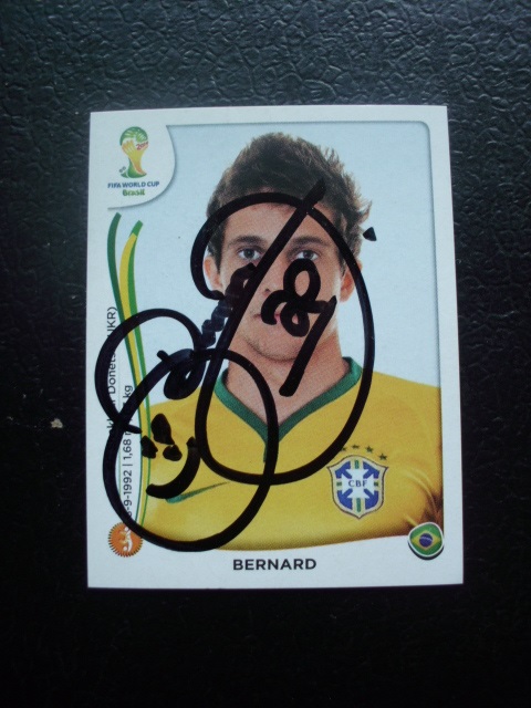 BERNARD - Brasilien # 45