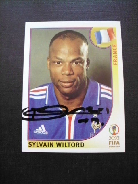 WILTORD Sylvain - Frankreich # 42